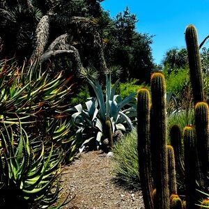 Meet your Posher, Jade